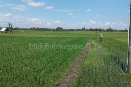 UPT Pertanian Dander Klaim Stok Pupuk Aman